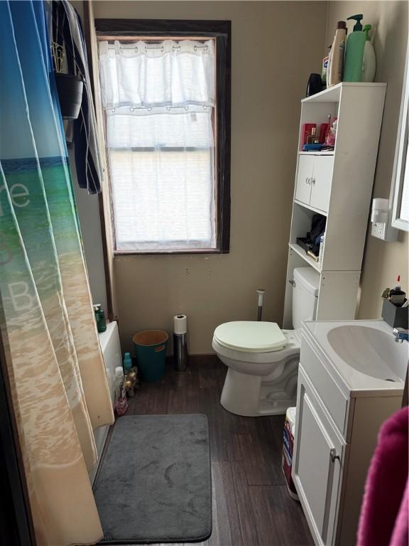 full bathroom featuring vanity, wood finished floors, and toilet