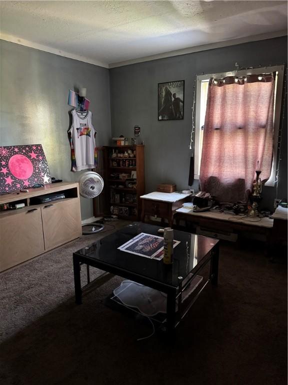living room featuring carpet flooring