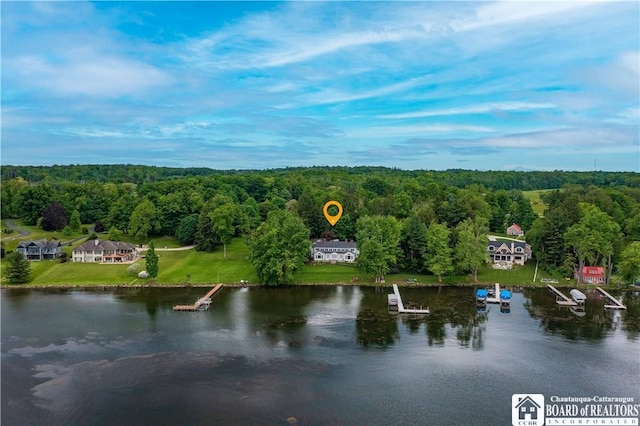 birds eye view of property featuring a water view and a wooded view