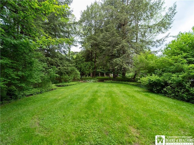 view of yard with a forest view