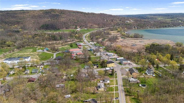 3766 Italy Hill Rd, Jerusalem, NY 14418 - photo 33