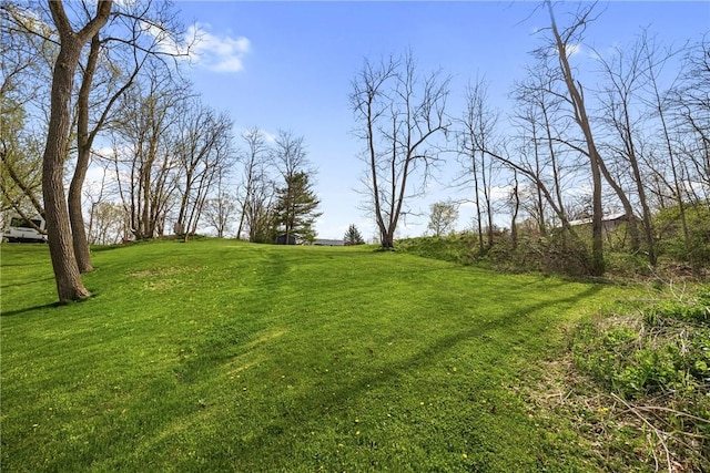 3766 Italy Hill Rd, Jerusalem, NY 14418 - photo 31