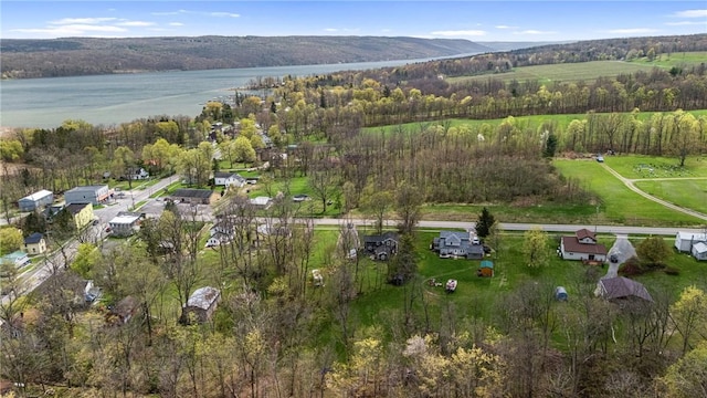 3766 Italy Hill Rd, Jerusalem, NY 14418 - photo 34