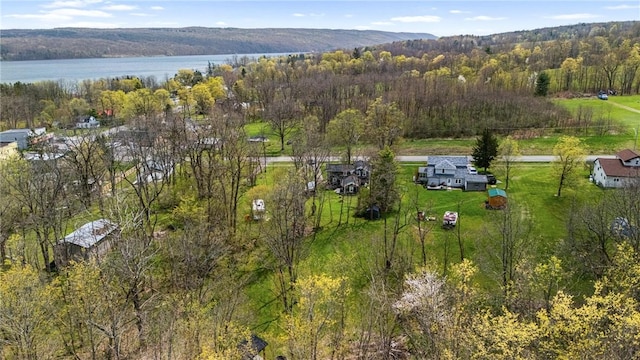 3766 Italy Hill Rd, Jerusalem, NY 14418 - photo 40
