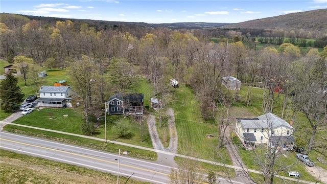 3766 Italy Hill Rd, Jerusalem, NY 14418 - photo 41