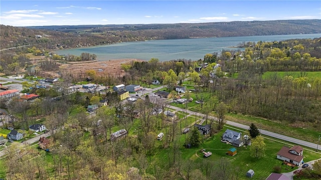 3766 Italy Hill Rd, Jerusalem, NY 14418 - photo 42