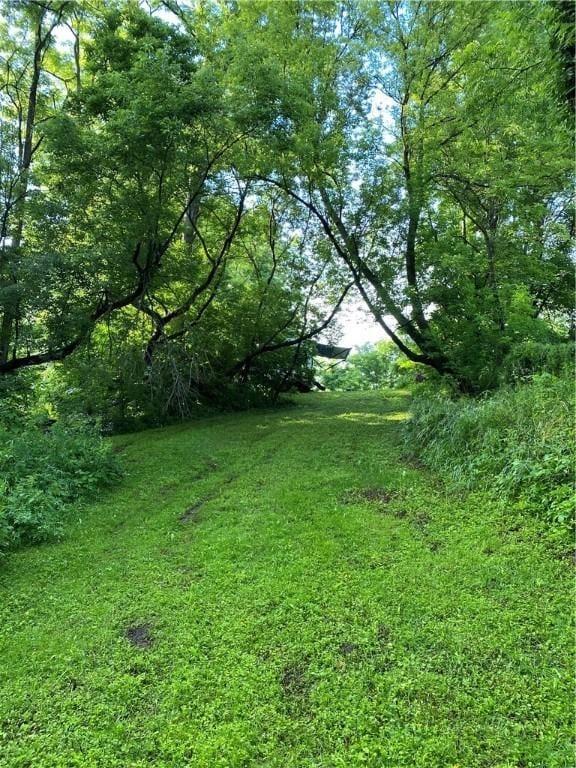 3764 Italy Hill Rd, Jerusalem, NY 14418 - photo 4