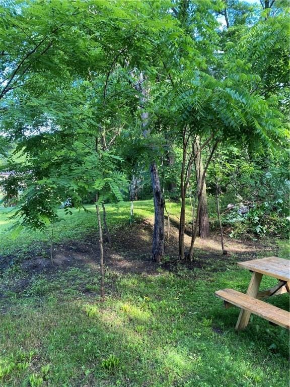 3764 Italy Hill Rd, Jerusalem, NY 14418 - photo 6