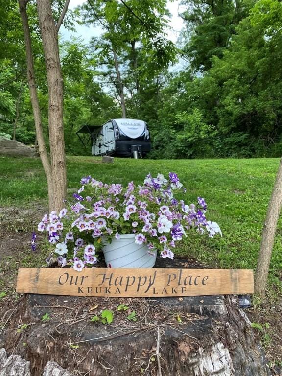 3764 Italy Hill Rd, Jerusalem, NY 14418 - photo 1