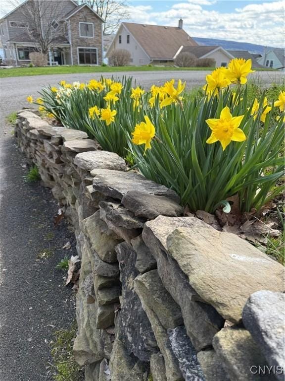 2321 Olanco Rd, Spafford, NY 13110 - exterior view