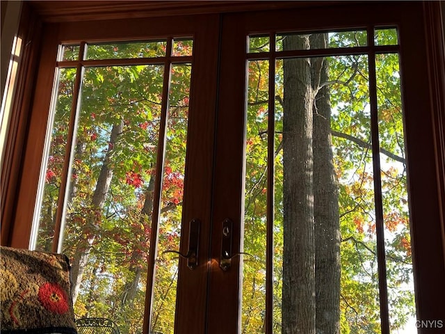 2321 Olanco Rd, Spafford, NY 13110 - doorway to outside with healthy amount of natural light