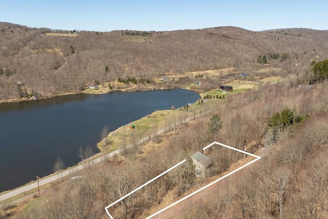 bird's eye view featuring a water and mountain view