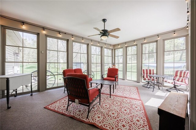 sunroom with track lighting and carpet