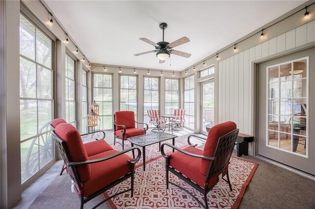 sunroom / solarium with carpet flooring and rail lighting