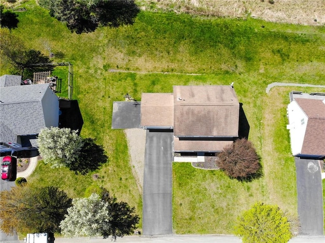 drone / aerial view