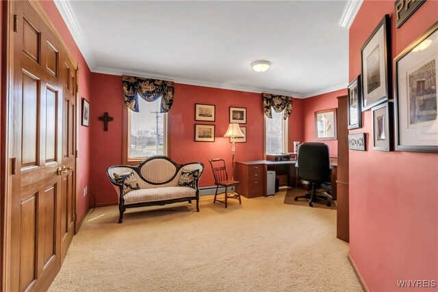 office area with light colored carpet, ornamental molding, baseboards, and a healthy amount of sunlight