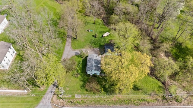drone / aerial view