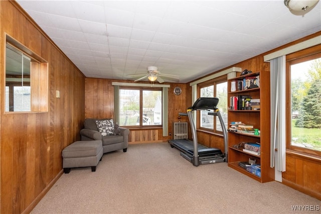 5048 Armor Duells Rd, Orchard Park, NY 14127 - exercise area featuring wood walls, light colored carpet, healthy amount of natural light, ceiling fan, and baseboards