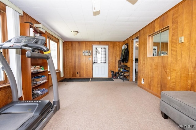 5048 Armor Duells Rd, Orchard Park, NY 14127 - exercise area with wood walls and carpet flooring