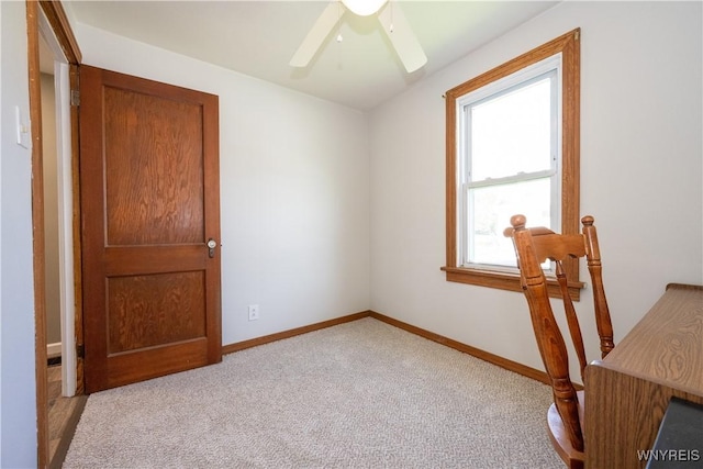 5048 Armor Duells Rd, Orchard Park, NY 14127 - unfurnished office with light carpet, ceiling fan, and baseboards