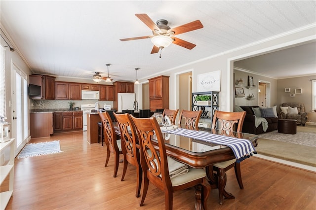 dining space with ceiling fan, ornamental molding, and light wood-style flooring