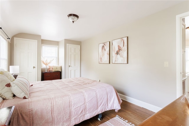 bedroom with baseboards, multiple windows, and wood finished floors