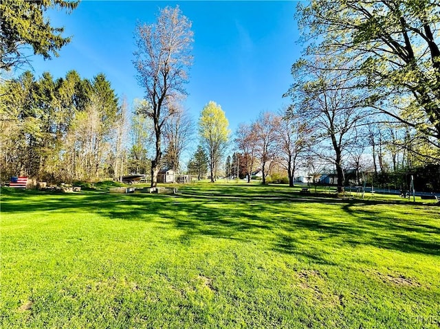 1058 State Route 48, Granby, NY 13069 - surrounding community featuring a yard