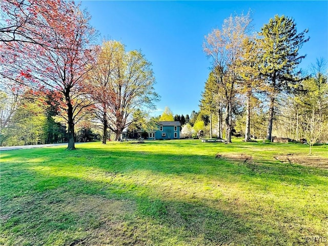 1058 State Route 48, Granby, NY 13069 - view of yard