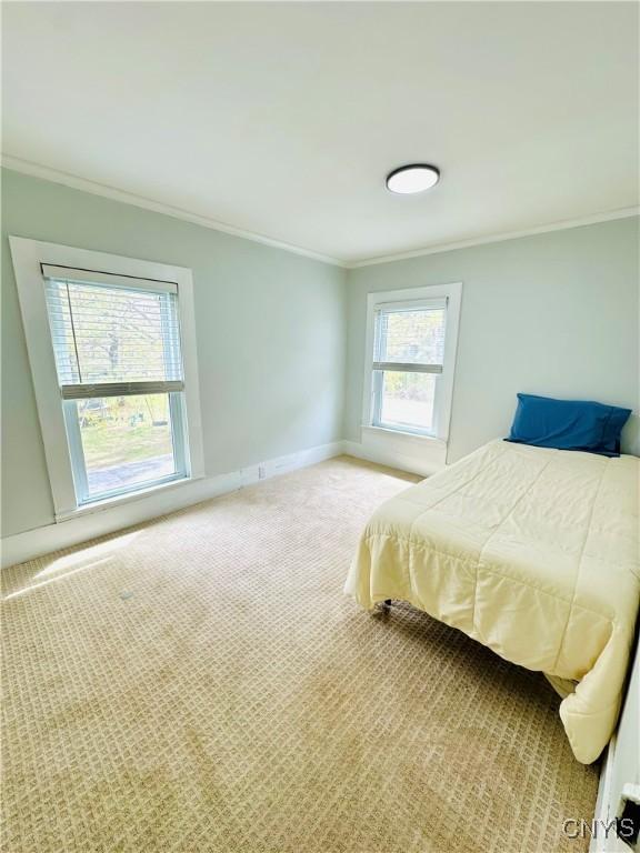 1058 State Route 48, Granby, NY 13069 - bedroom featuring light colored carpet, ornamental molding, and baseboards