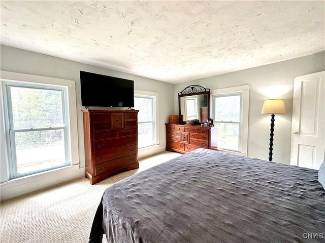 1058 State Route 48, Granby, NY 13069 - bedroom featuring light colored carpet and multiple windows