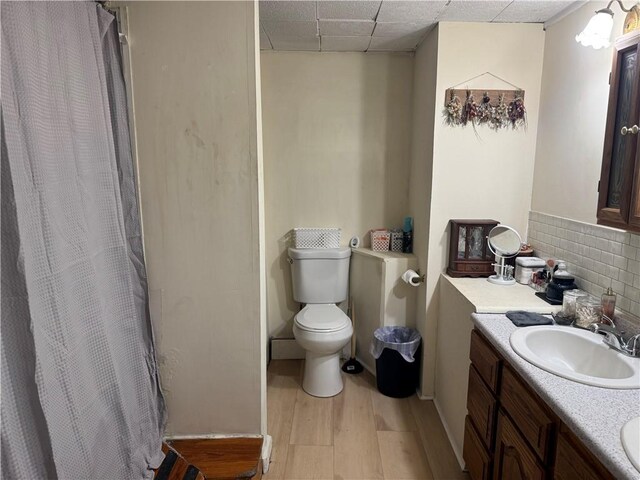 2129 State Highway 206, Masonville, NY 13849 - full bathroom with vanity, toilet, a paneled ceiling, wood finished floors, and tasteful backsplash