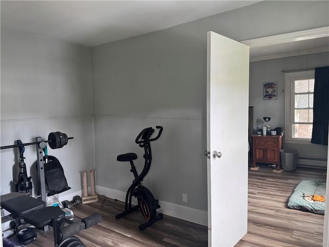 2129 State Highway 206, Masonville, NY 13849 - exercise area with baseboards, wainscoting, and wood finished floors