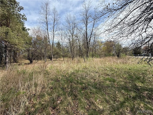 Braley Rd, Porter, NY 14174