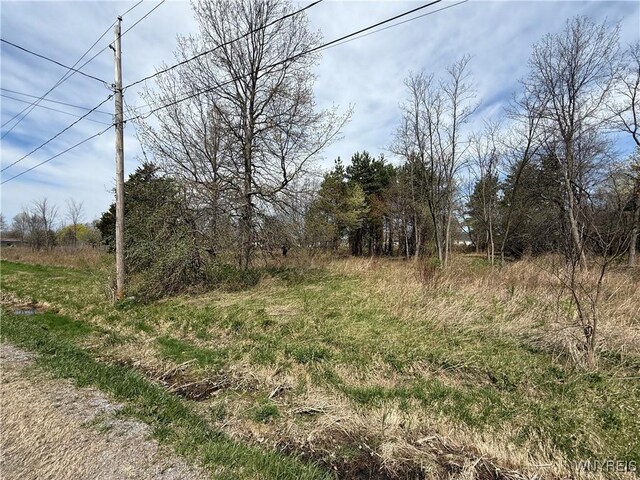 Braley Rd, Porter, NY 14174