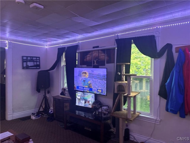 view of carpeted living area