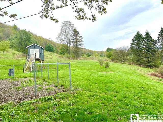3542 Morgan Hollow Rd, Allegany, NY 14706 - view of yard with fence, a storage unit, and an outbuilding