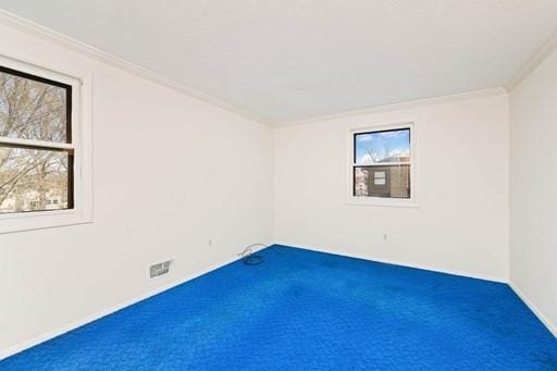 carpeted spare room featuring ornamental molding