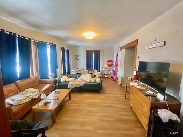 living room featuring light wood-style flooring