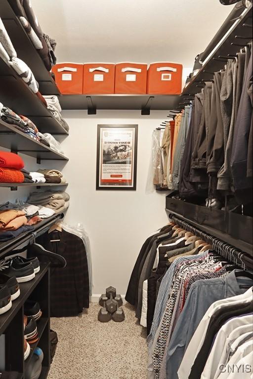 walk in closet featuring carpet flooring