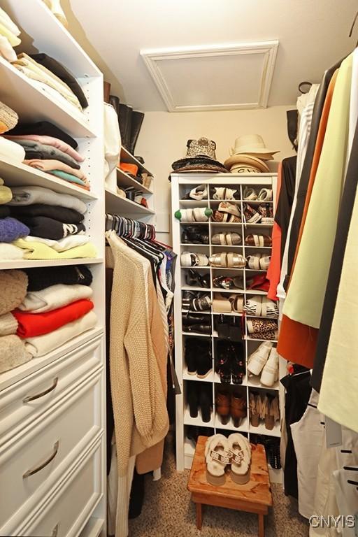 walk in closet featuring carpet flooring and attic access