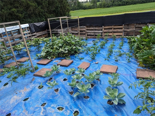 view of pool with a garden
