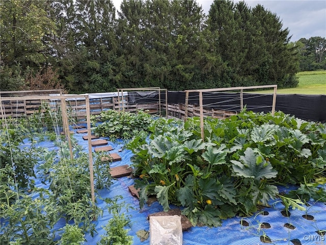 exterior space with fence and a garden