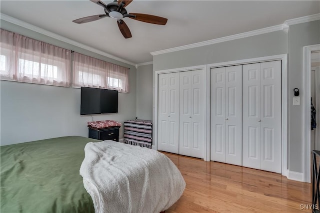 bedroom with crown molding, multiple closets, a ceiling fan, and light wood finished floors
