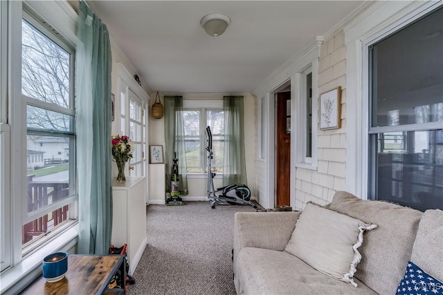 sunroom / solarium with baseboards, plenty of natural light, ornamental molding, and carpet