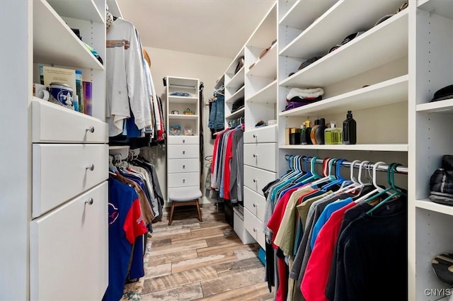 walk in closet with wood finished floors