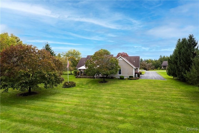 view of yard featuring driveway