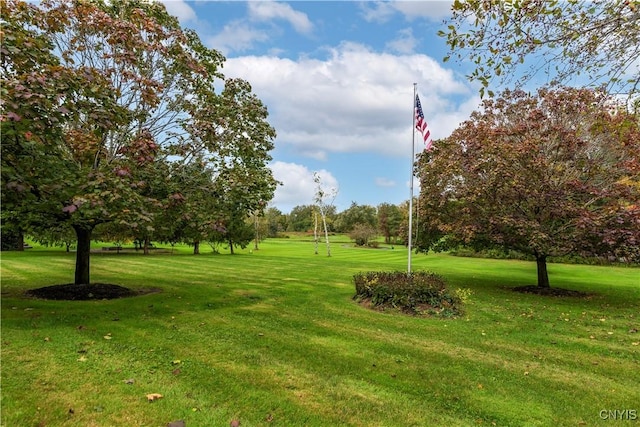 view of property's community with a yard