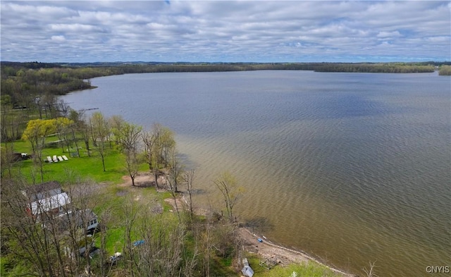 property view of water