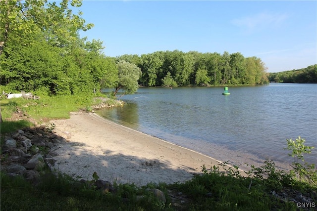 water view featuring a wooded view