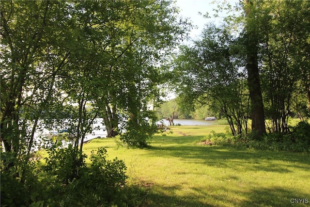 view of yard with a water view